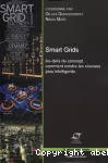 Smart grids vignette